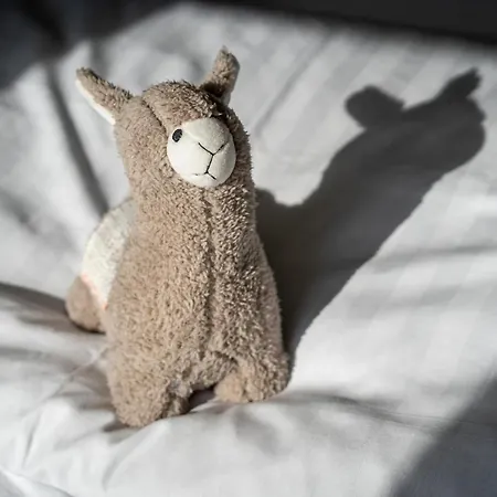 Reetdachhaus De Hygge Kaat Reetdachhaus De Hygge Kaat *